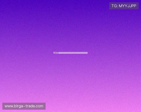 Mite娱乐版玩法详解助你轻松掌握世界杯期间的精彩互动体验 Mite娱乐版玩法详解助你轻松掌握世界杯期间的精彩互动体验